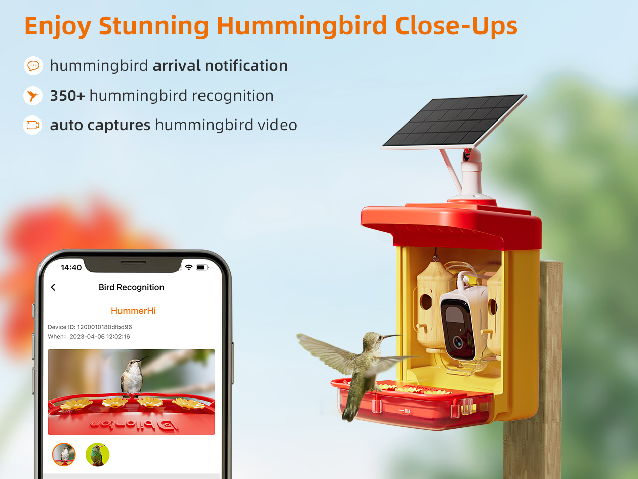 HummerHi Solar Powered Smart Hummingbird Feeder with Camera