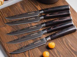 Seido™ Straight-Edged Steak Knives: Set of 5